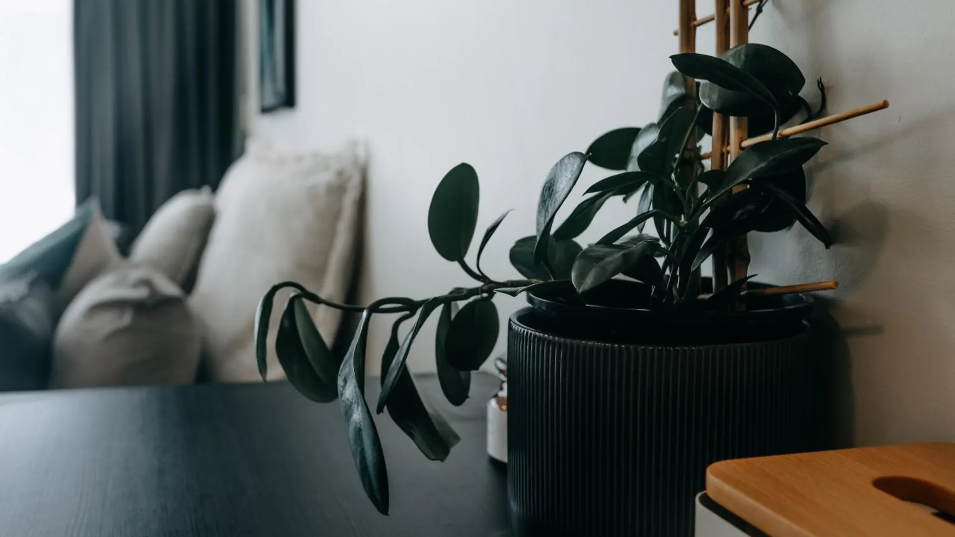 Apartment Aloha - Stylish Central Byron Studio Byron Bay